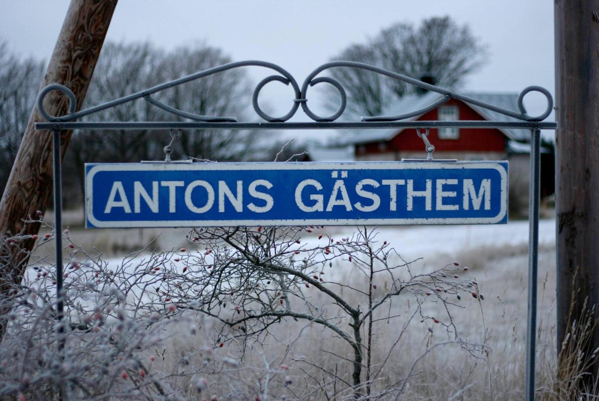Antons Gaesthem Hotel Kokar Ngoại thất bức ảnh